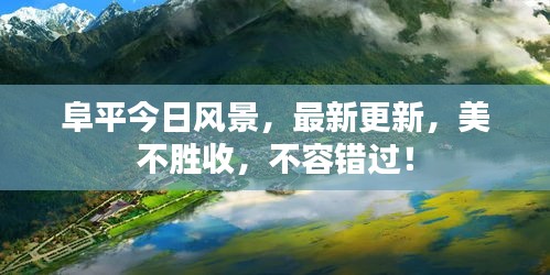 夫妻本是同林鸟 第2页