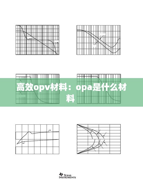 矢志不渝 第2页