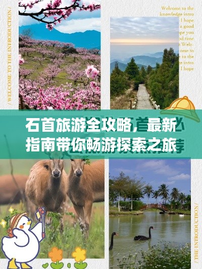 石首旅游全攻略，最新指南带你畅游探索之旅