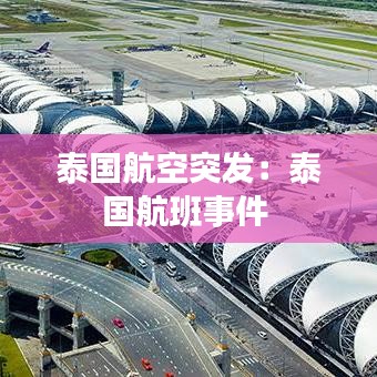 泰国航空突发：泰国航班事件 