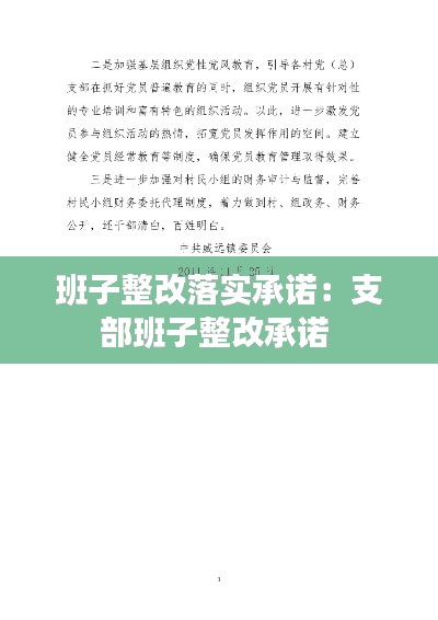 班子整改落实承诺：支部班子整改承诺 