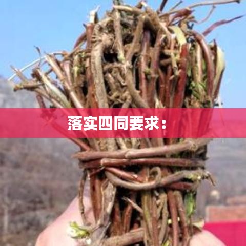 人前显贵 第2页