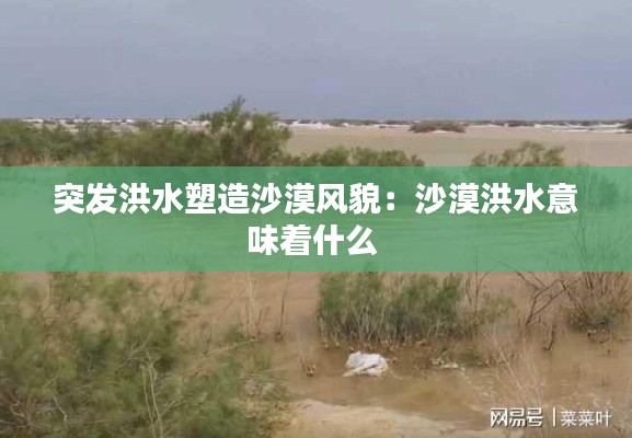 突发洪水塑造沙漠风貌：沙漠洪水意味着什么 