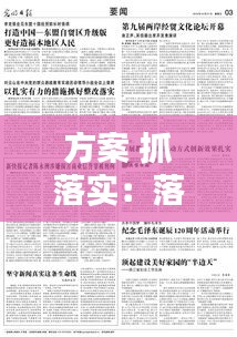 方案 抓落实：落实方案措施 