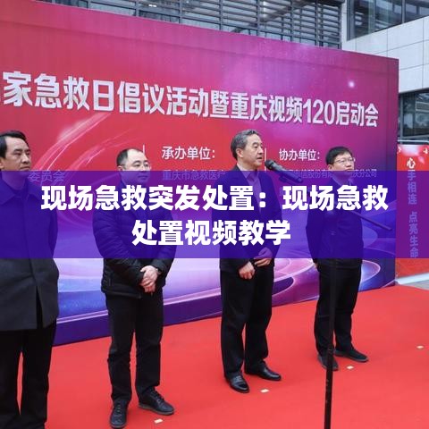 法不阿贵 第2页