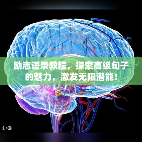 励志语录教程，探索高级句子的魅力，激发无限潜能！