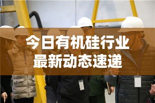 今日有机硅行业最新动态速递