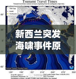 新西兰突发海啸事件原因：新西兰海啸地震 