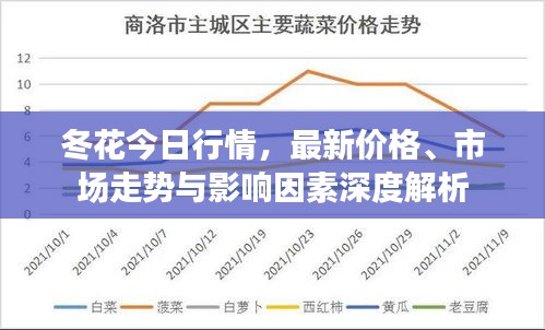 冬花今日行情，最新价格、市场走势与影响因素深度解析