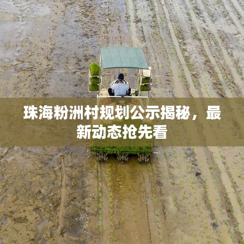 珠海粉洲村规划公示揭秘，最新动态抢先看