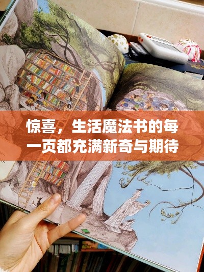 遍地开花 第2页