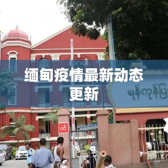 缅甸疫情最新动态更新