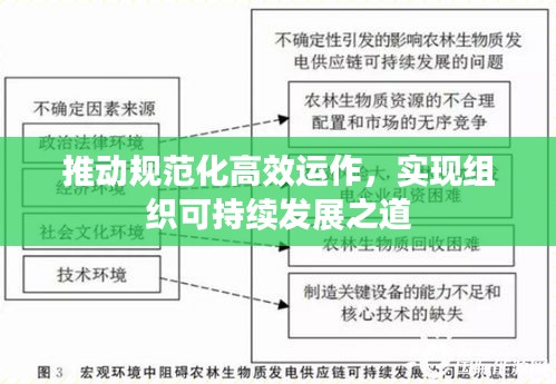 推动规范化高效运作，实现组织可持续发展之道