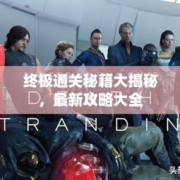 终极通关秘籍大揭秘，最新攻略大全