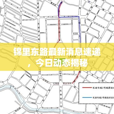 锦里东路最新消息速递，今日动态揭秘