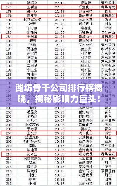 潍坊骨干公司排行榜揭晓，揭秘影响力巨头！
