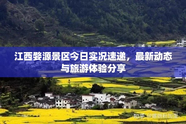 江西婺源景区今日实况速递，最新动态与旅游体验分享