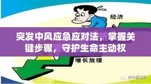 突发中风应急应对法，掌握关键步骤，守护生命主动权