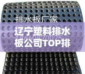 辽宁塑料排水板公司TOP排名及行业深度概述