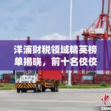 洋浦财税领域精英榜单揭晓，前十名佼佼者闪耀登场！