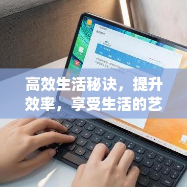 雅量高致 第2页