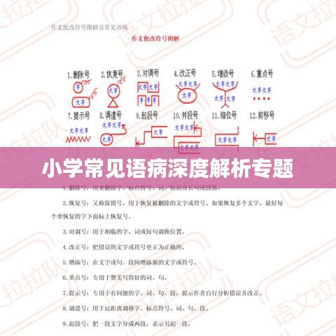 小学常见语病深度解析专题