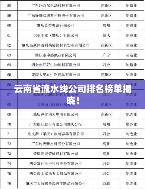 云南省流水线公司排名榜单揭晓！