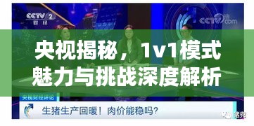 央视揭秘，1v1模式魅力与挑战深度解析