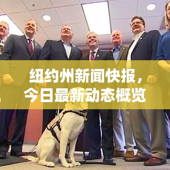 纽约州新闻快报，今日最新动态概览