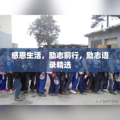 感恩生活，励志前行，励志语录精选