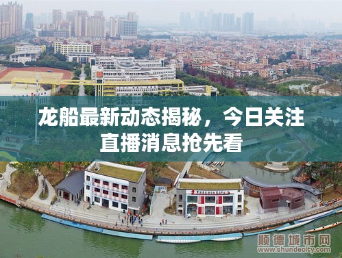 龙船最新动态揭秘，今日关注直播消息抢先看