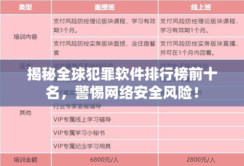 揭秘全球犯罪软件排行榜前十名，警惕网络安全风险！