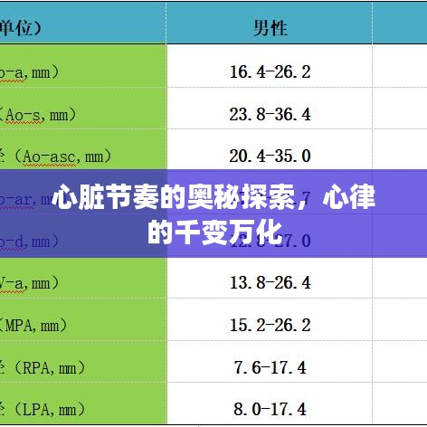 心脏节奏的奥秘探索，心律的千变万化