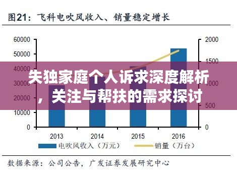 失独家庭个人诉求深度解析，关注与帮扶的需求探讨