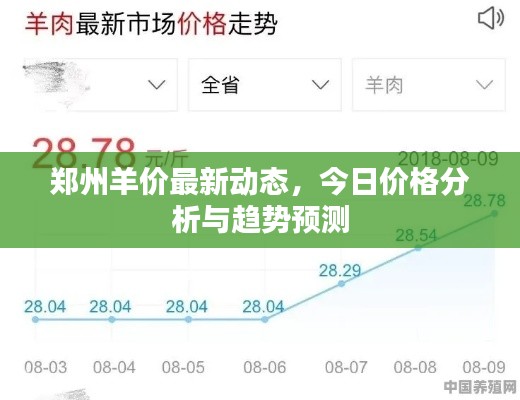 郑州羊价最新动态，今日价格分析与趋势预测