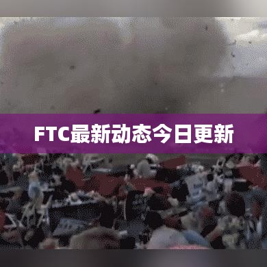 FTC最新动态今日更新
