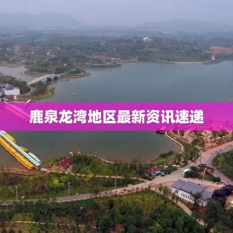 鹿泉龙湾地区最新资讯速递