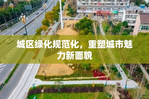 惊弦之鸟