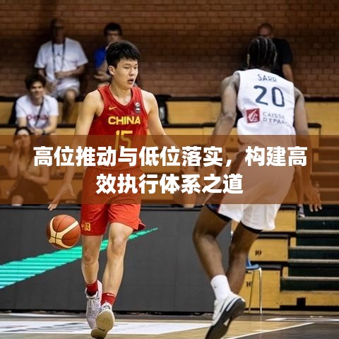 高位推动与低位落实，构建高效执行体系之道