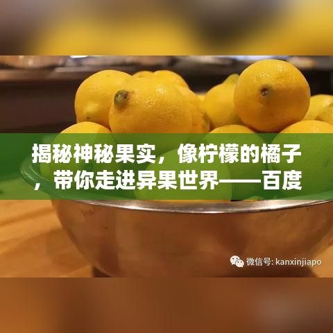 蛙蟆胜负