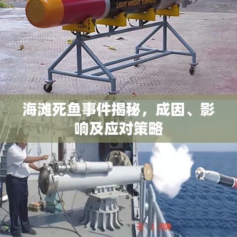 海滩死鱼事件揭秘，成因、影响及应对策略