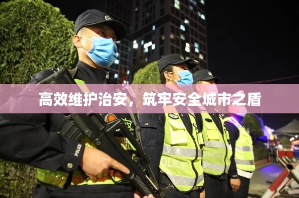 高效维护治安，筑牢安全城市之盾