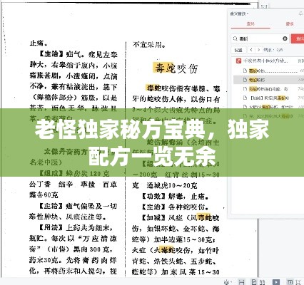 老怪独家秘方宝典，独家配方一览无余