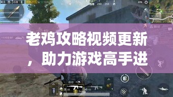 老鸡攻略视频更新，助力游戏高手进阶之路