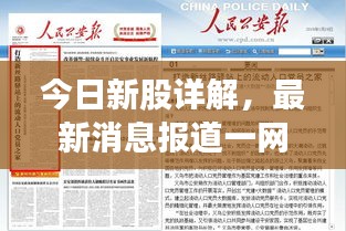今日新股详解，最新消息报道一网打尽