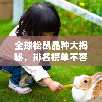 全球松鼠品种大揭秘，排名榜单不容错过！