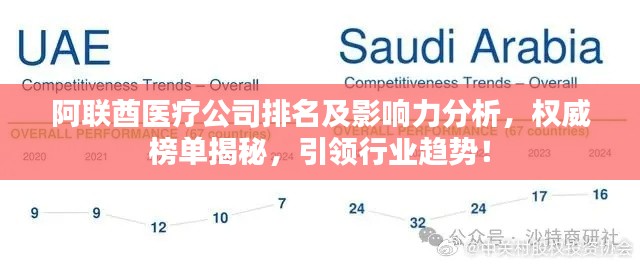 阿联酋医疗公司排名及影响力分析，权威榜单揭秘，引领行业趋势！