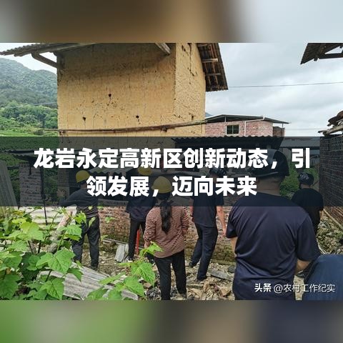 龙岩永定高新区创新动态，引领发展，迈向未来