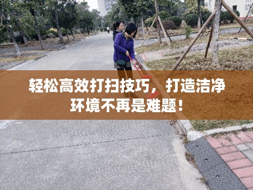 轻松高效打扫技巧，打造洁净环境不再是难题！