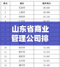 山东省商业管理公司排名大揭秘，权威榜单，不容错过！